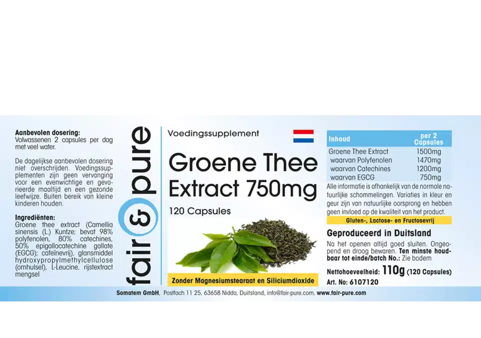 Groene Thee Extract 500mg