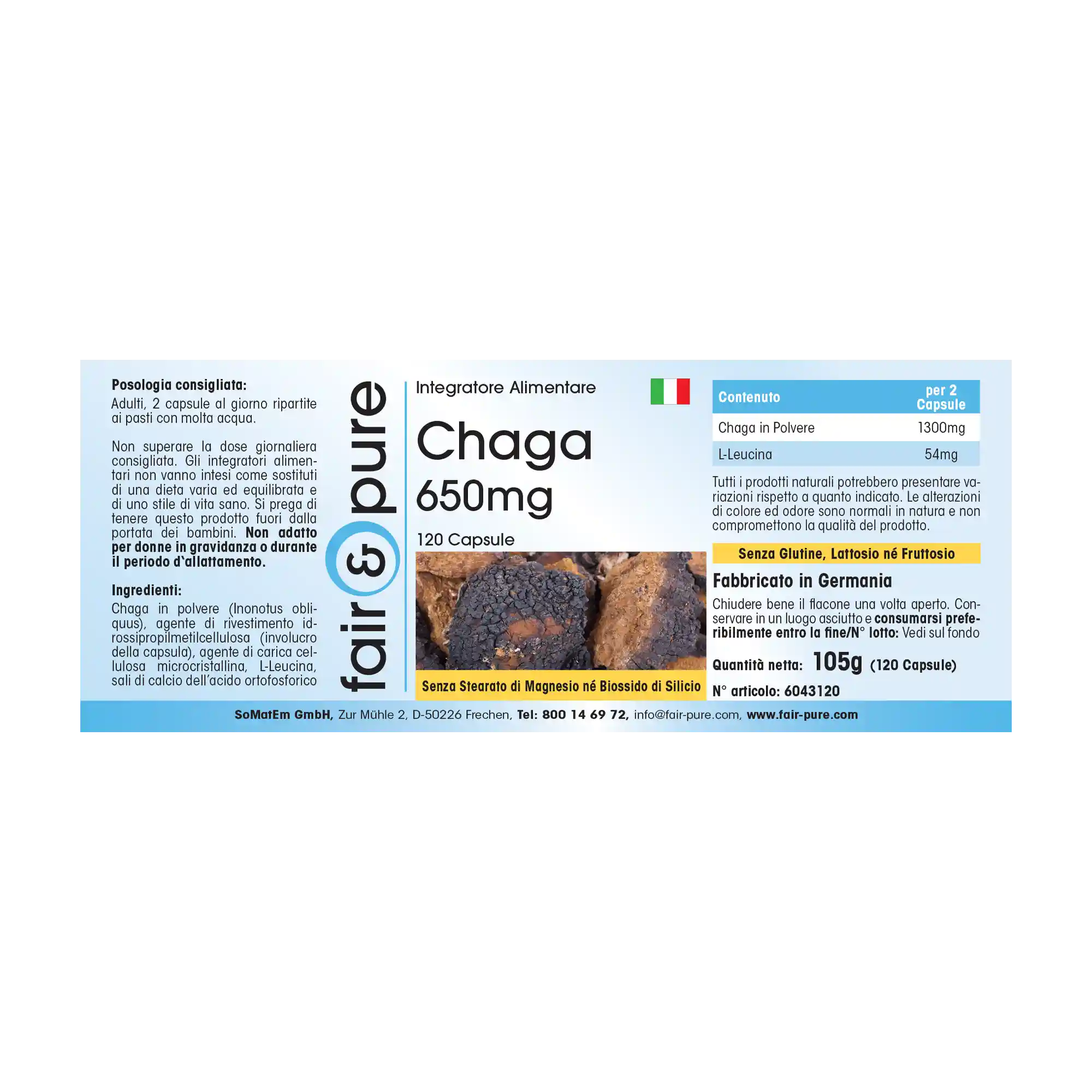 Chaga 650mg