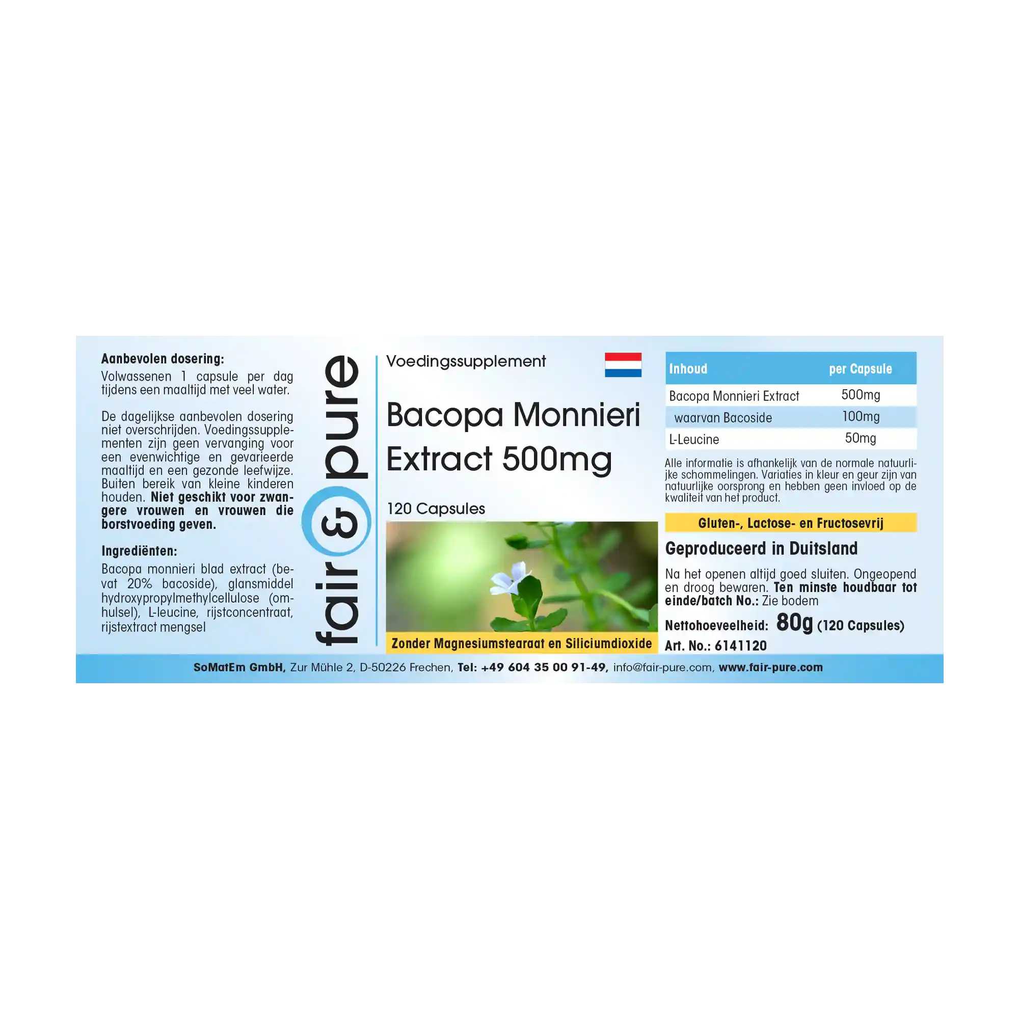 Bacopa Monnieri Extract 500mg